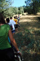 hiking-trails