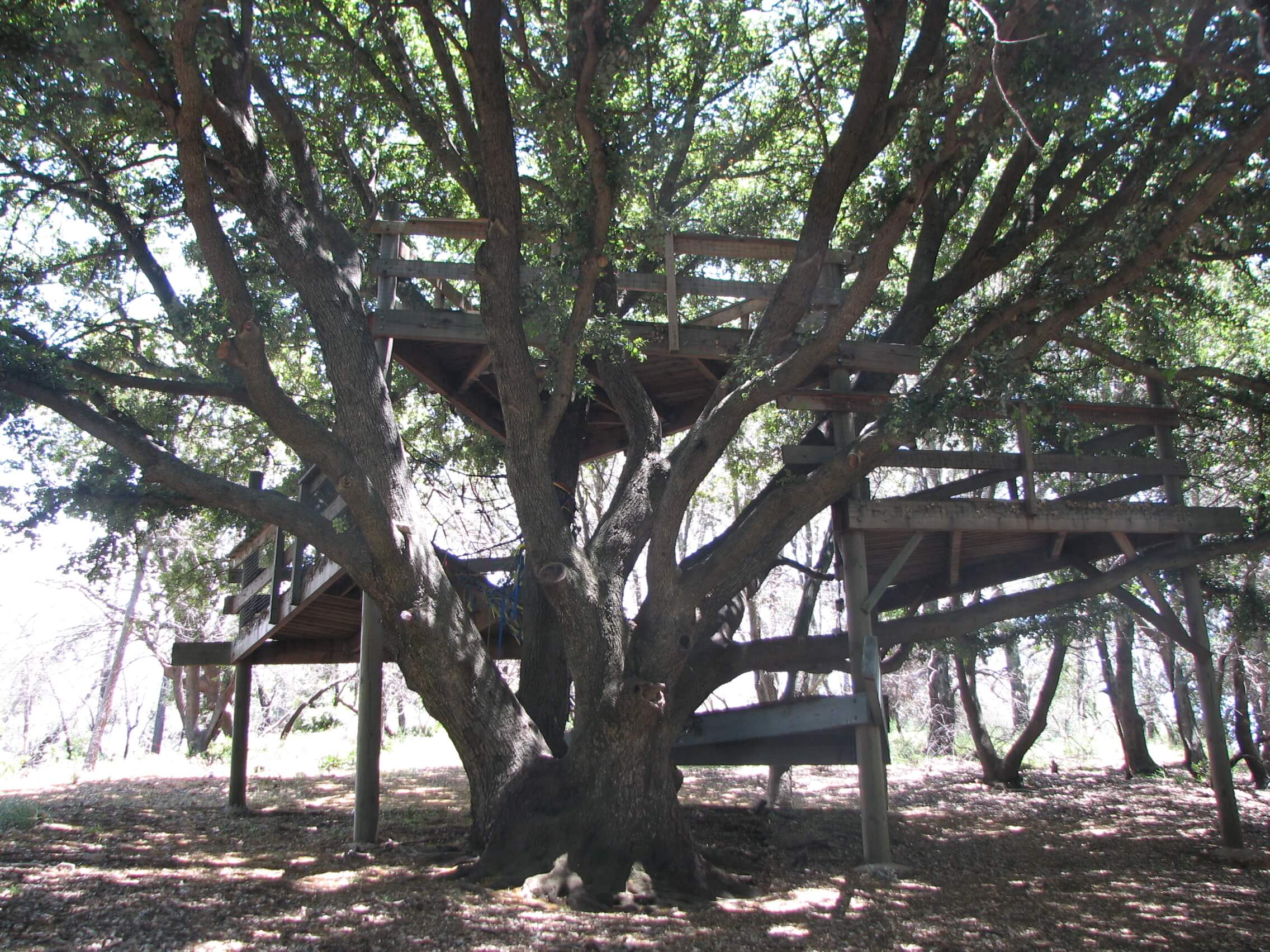 treehouse 001